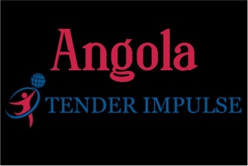india-angola-business-and-cultural-council-angola-tender-impulse